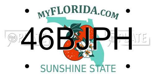 46BJPH Florida License Plate