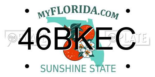46BKEC Florida License Plate