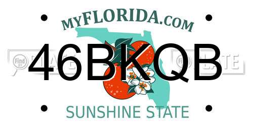 46BKQB Florida License Plate