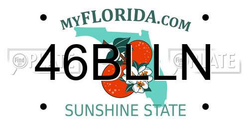46BLLN Florida License Plate