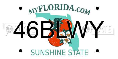 46BLWY Florida License Plate