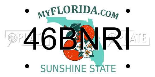 46BNRI Florida License Plate