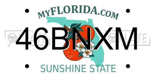 46BNXM Florida License Plate
