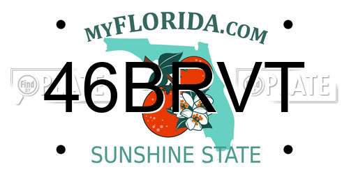 46BRVT Florida License Plate