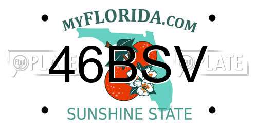 46BSV Florida License Plate