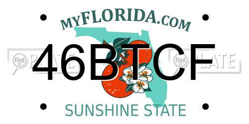 46BTCF Florida License Plate