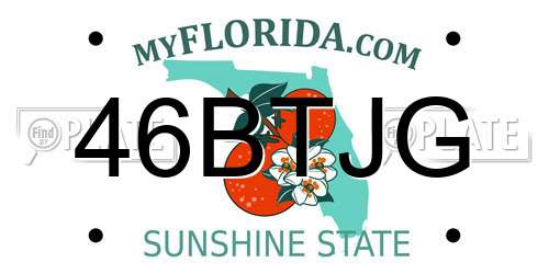 46BTJG Florida License Plate