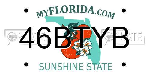 46BTYB Florida License Plate