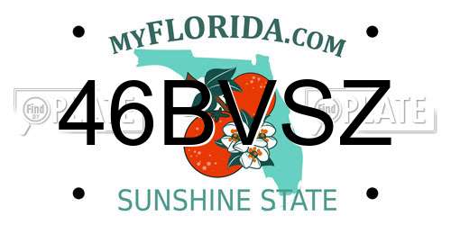 46BVSZ Florida License Plate