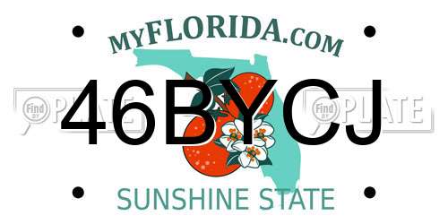46BYCJ Florida License Plate