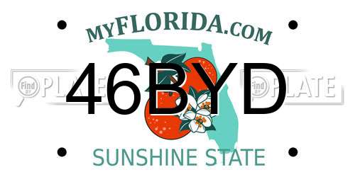 46BYD Florida License Plate