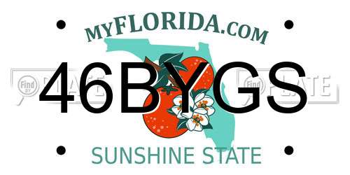 46BYGS Florida License Plate