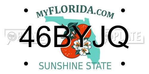 46BYJQ Florida License Plate