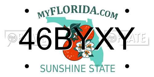 46BYXY Florida License Plate