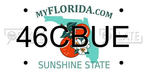 46CBUE Florida License Plate
