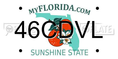 46CDVL Florida License Plate