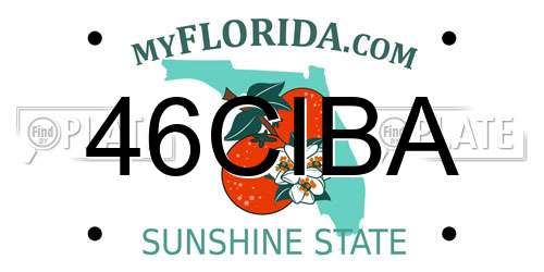 46CIBA Florida License Plate