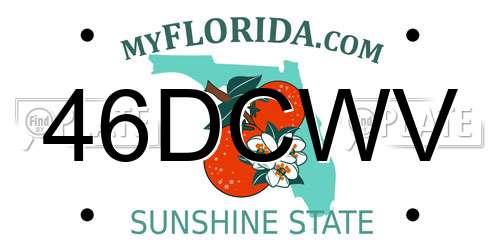 46DCWV Florida License Plate