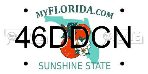 46DDCN Florida License Plate