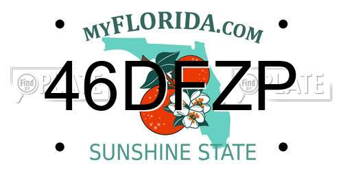 46DFZP Florida License Plate