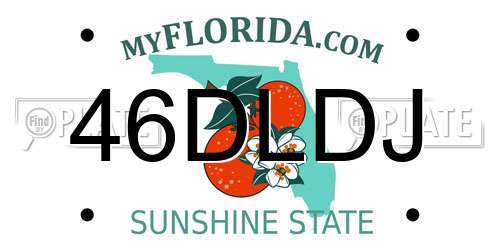 46DLDJ Florida License Plate