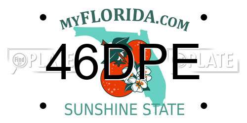 46DPE Florida License Plate
