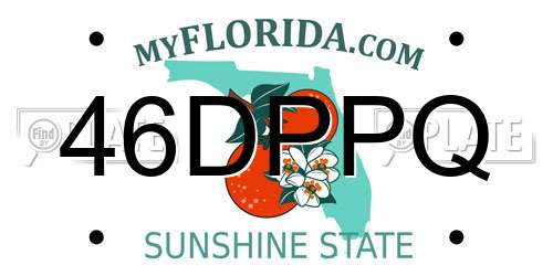 46DPPQ Florida License Plate