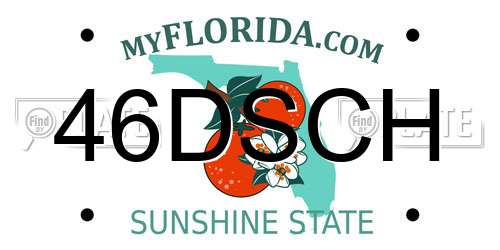 46DSCH Florida License Plate
