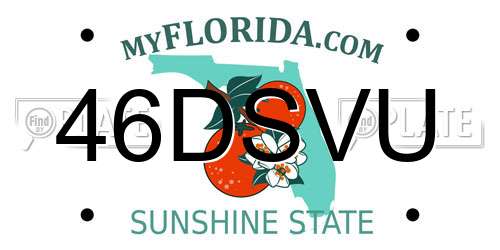 46DSVU Florida License Plate