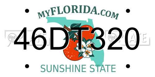 46DT320 Florida License Plate