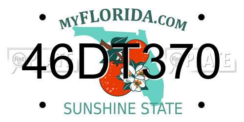 46DT370 Florida License Plate