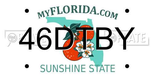 46DTBY Florida License Plate