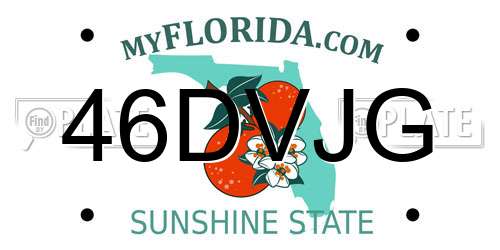 46DVJG Florida License Plate