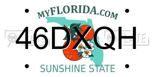 46DXQH Florida License Plate