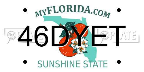 46DYET Florida License Plate