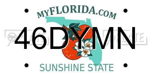 46DYMN Florida License Plate