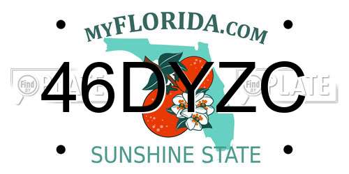 46DYZC Florida License Plate