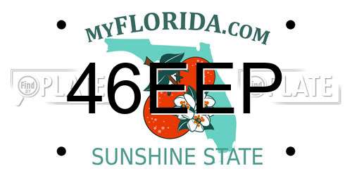 46EEP Florida License Plate