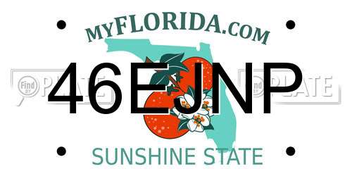 46EJNP Florida License Plate