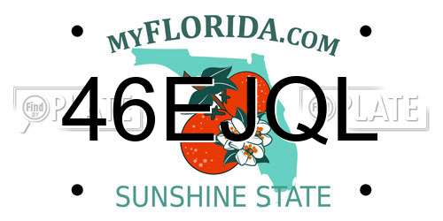 46EJQL Florida License Plate