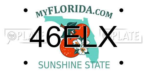 46ELX Florida License Plate
