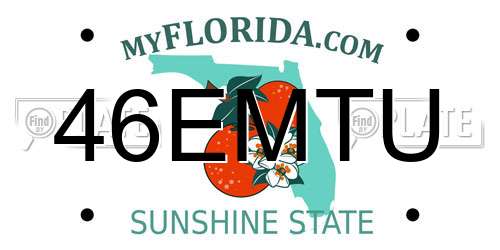 46EMTU Florida License Plate