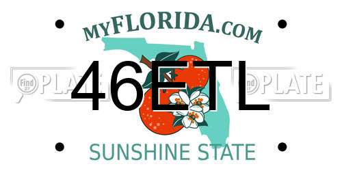 46ETL Florida License Plate