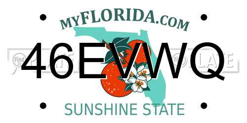 46EVWQ Florida License Plate