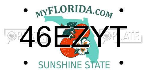 46EZYT Florida License Plate