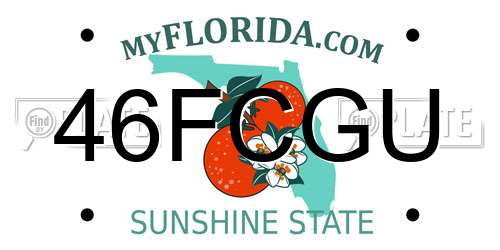 46FCGU Florida License Plate