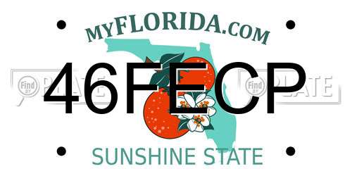 46FECP Florida License Plate