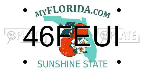 46FEUI Florida License Plate