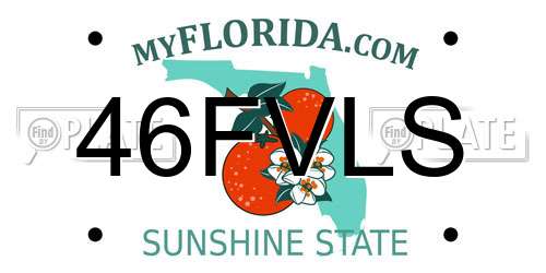 46FVLS Florida License Plate