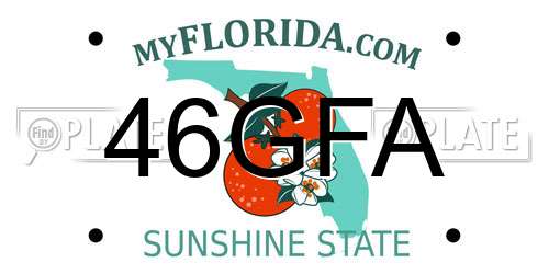 46GFA Florida License Plate